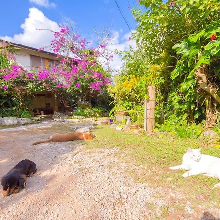 Muumin Farm Villa Nakijin Exterior photo