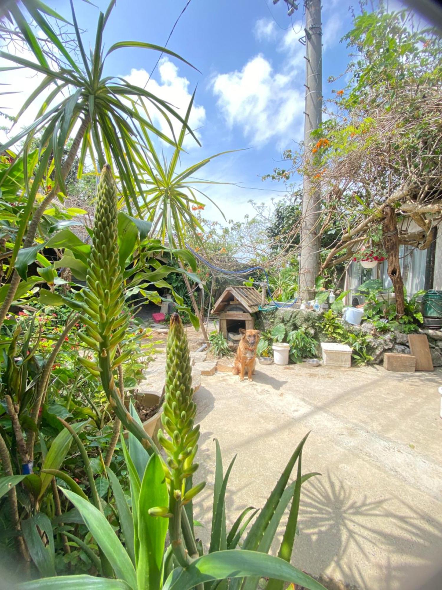 Muumin Farm Farm stay *